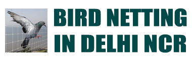 birdnettingindelhincr